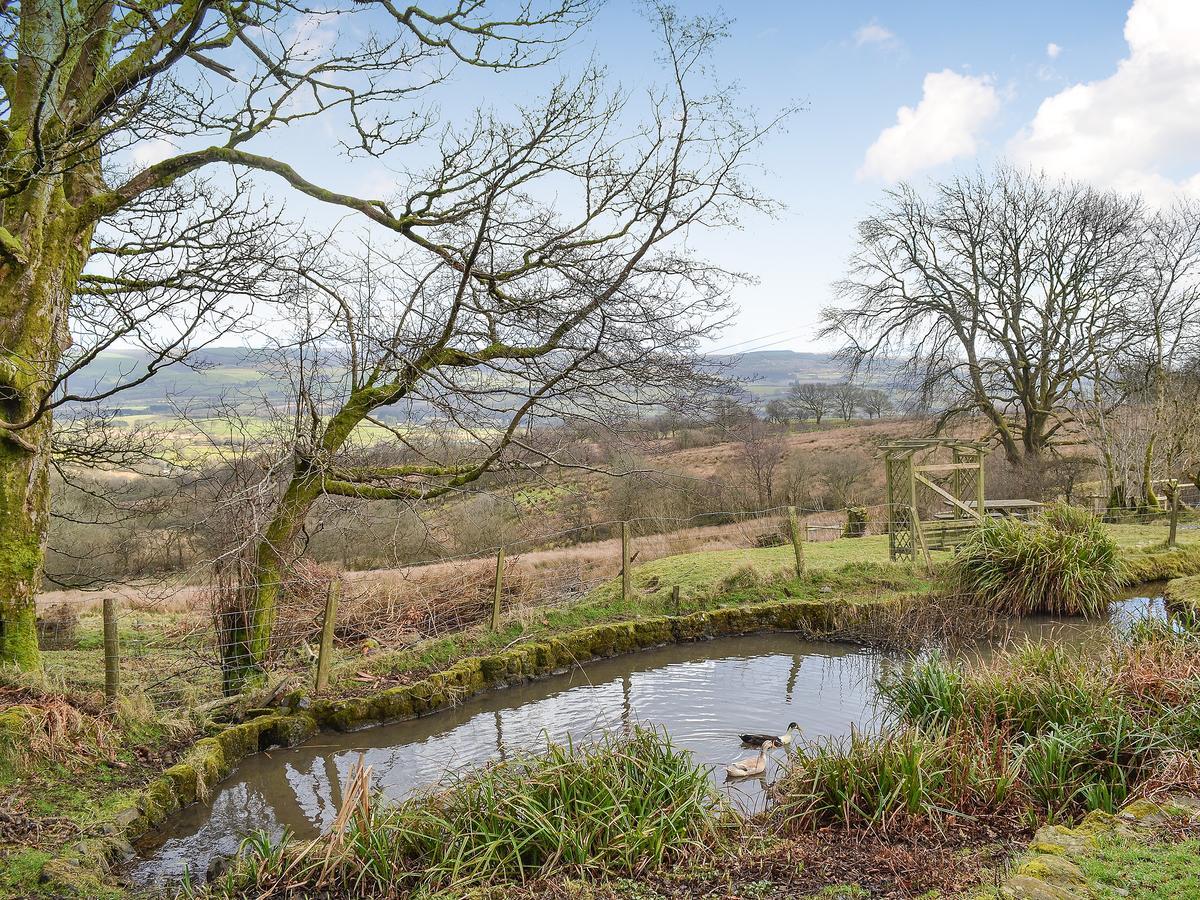 Swallow Barn Llanwrtyd Wells Buitenkant foto